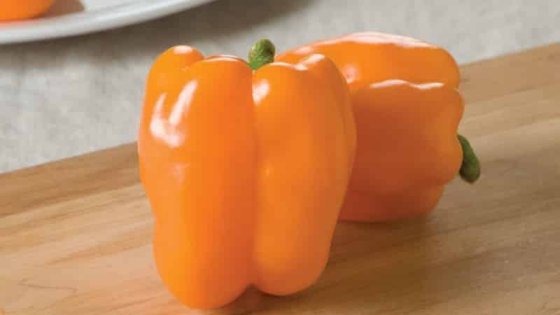 Variété de poivre Big Mama aux fruits juteux et sucrés de couleur orange : facile à cultiver sur votre propre parcelle