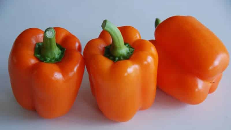 Variété de poivre Big Mama aux fruits juteux et sucrés de couleur orange : facile à cultiver sur votre propre parcelle