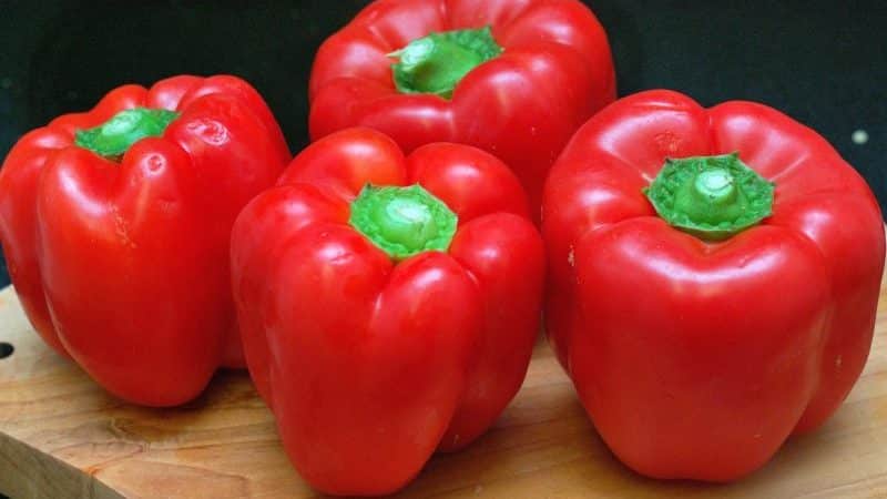 Por qué los jardineros aman tanto la variedad de pimiento Bogatyr y cómo cultivarla correctamente