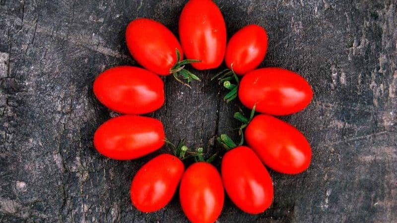 Tomato Grozdeva - mahusay na ani at di malilimutang lasa