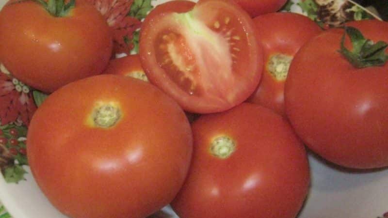 ¿El tomate Lakomka hace honor a su nombre y qué dicen los productores de hortalizas sobre la variedad?