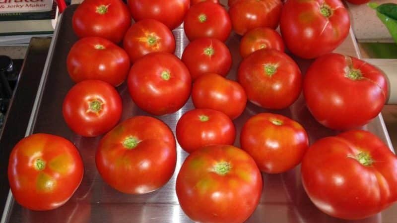 Revisión de la variedad de tomate Moskvich: pros y contras, y cómo conseguir una buena cosecha.