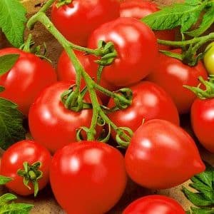 Adakah tomato My Love sesuai dengan namanya: kebaikan dan keburukan hibrid