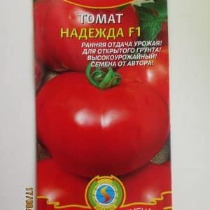 Cara menanam tomato Nadezhda f1: tumbuh cepat, masak awal dan memberi ganjaran dengan hasil tuaian yang banyak