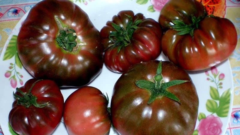 Varför bönder älskar Orange Elephant-tomaten så mycket