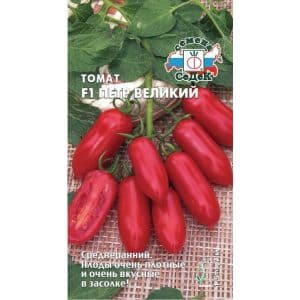 A good choice for a picky summer resident - the Peter the Great tomato and the secrets of increasing its yield