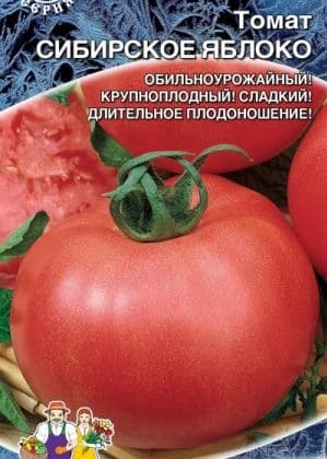 Một giống cà chua non đã trở thành món khoái khẩu của những người làm vườn - cà chua Táo Siberia.