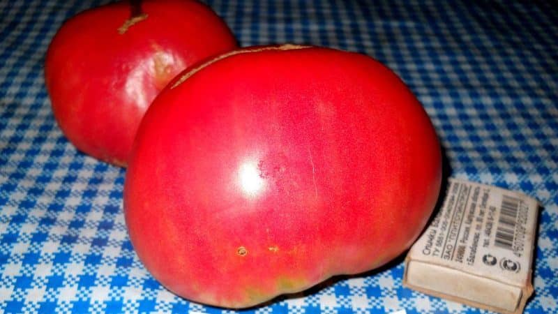 Großfrüchtige Sorte mit feinem Geschmack für die diätetische Ernährung – Tsar Bell-Tomate