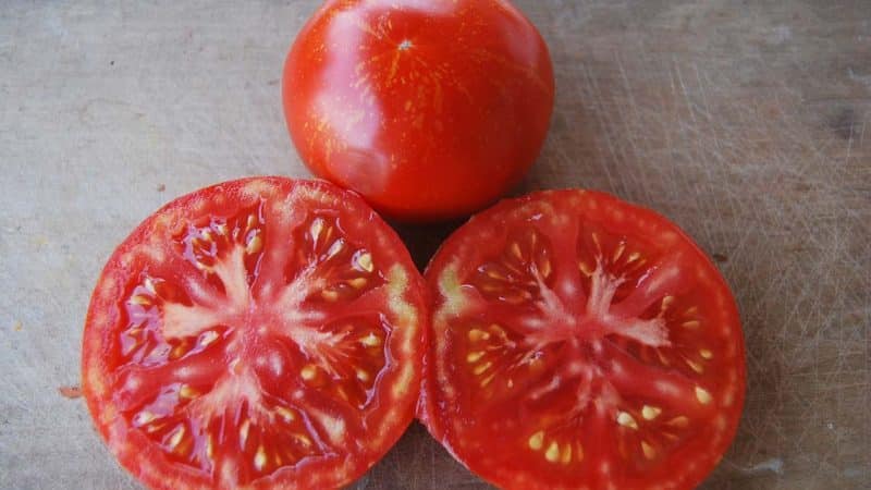 Recomendações para cuidar do surto de tomate: o que pode afetar a produtividade