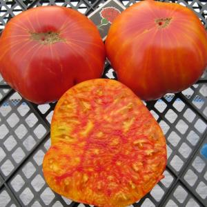 Advantages and disadvantages of the Mammoth tomato