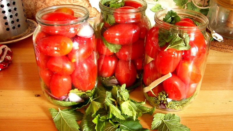 Le 10 migliori ricette insolite di pomodori per l'inverno: come cucinare gustosi pomodori e arrotolarli correttamente