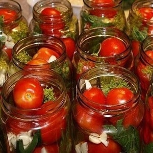 10 resipi tomato luar biasa untuk musim sejuk: cara memasak tomato lazat dan gulungkannya dengan betul