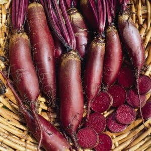 Beloved by farmers for its ease of care and taste, the Cylinder beet variety