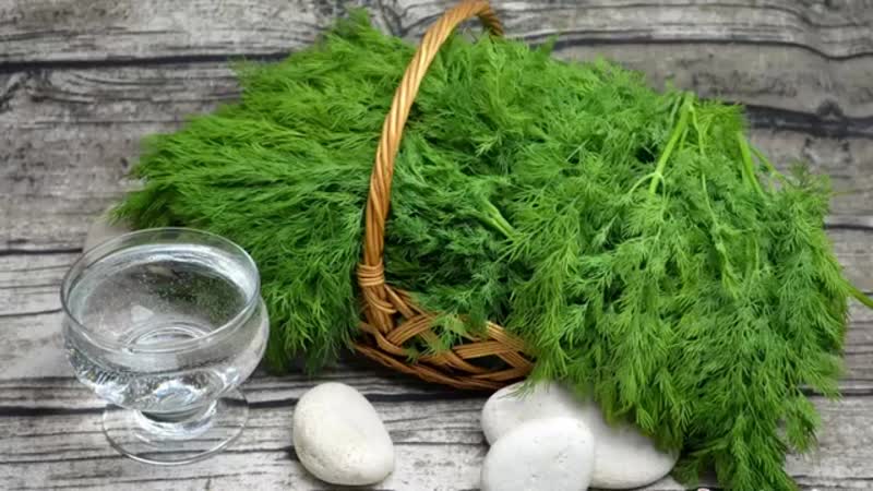 Dill is an effective remedy for facial beauty and more