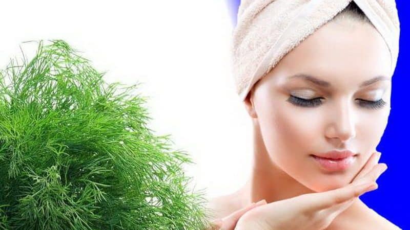 Dill é um remédio eficaz para a beleza facial e muito mais