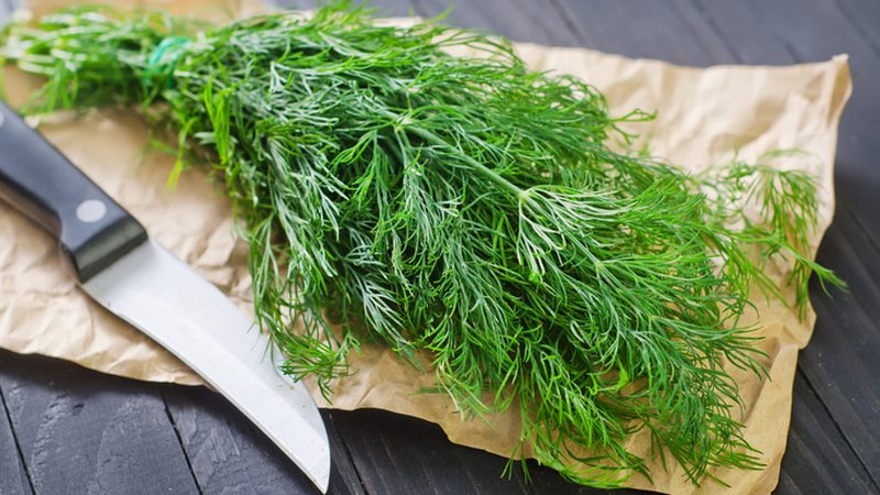 Dill is an effective remedy for facial beauty and more