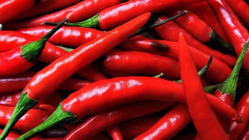 How to dry hot peppers at home: the best preparation methods and recommendations for storing the product