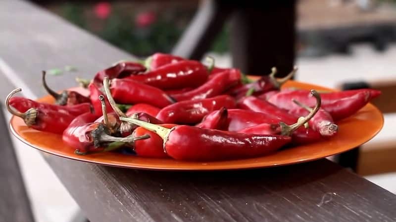 Hvordan tørke paprika hjemme: de beste tilberedningsmetodene og anbefalingene for oppbevaring av produktet