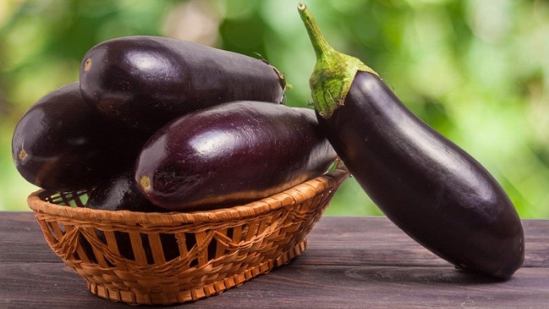 Est-il possible ou non de manger des aubergines pour le diabète de type 2 : avantages et inconvénients, recettes