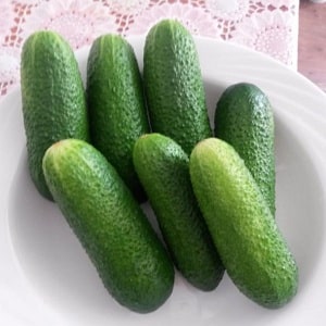 Kilalanin natin ang cucumber hybrid Alex f1 at alamin kung paano ito palaguin ng tama