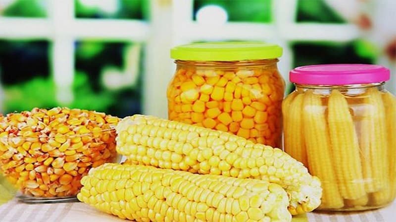 How to properly prepare pickled corn on the cob for the winter: the best recipes