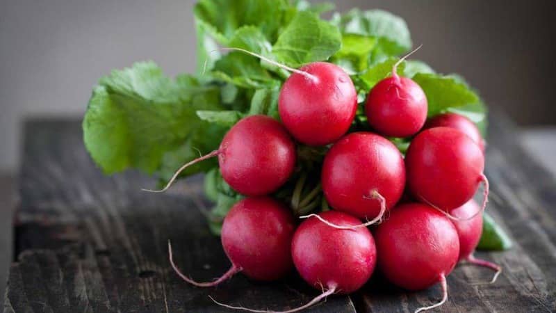 Maagang ripening at napaka-tanyag sa mga residente ng tag-init, Sora labanos