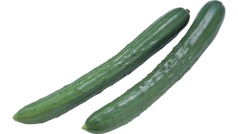 How should you care for Chinese miracle cucumbers to get an excellent harvest?