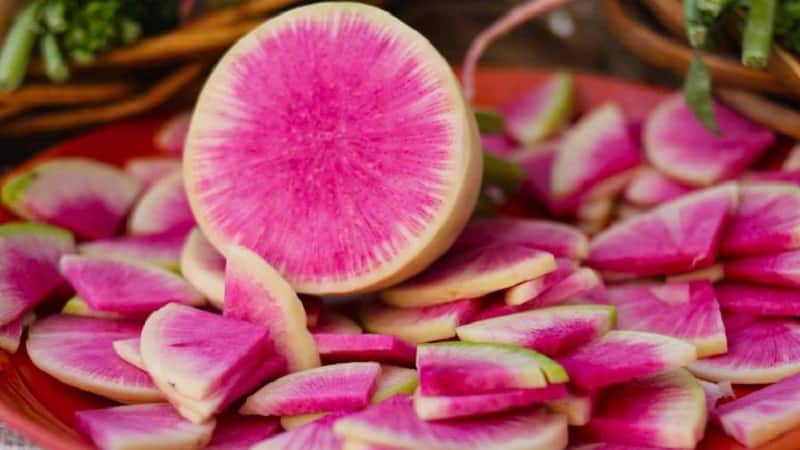 Unusual-looking and pleasant-tasting watermelon radish: why it’s good and how to grow it