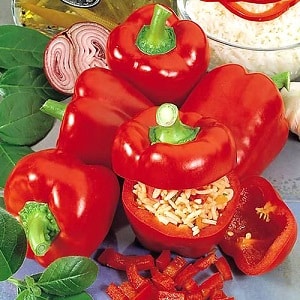 A selection of the best varieties of sweet peppers with descriptions