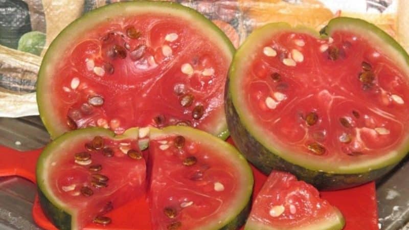 Einfache und schnelle Rezepte für eingelegte Wassermelonen