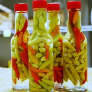 Las 10 mejores recetas de pimientos Ogonyok en escabeche para el invierno