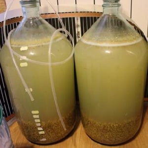 Simple recipes for barley moonshine