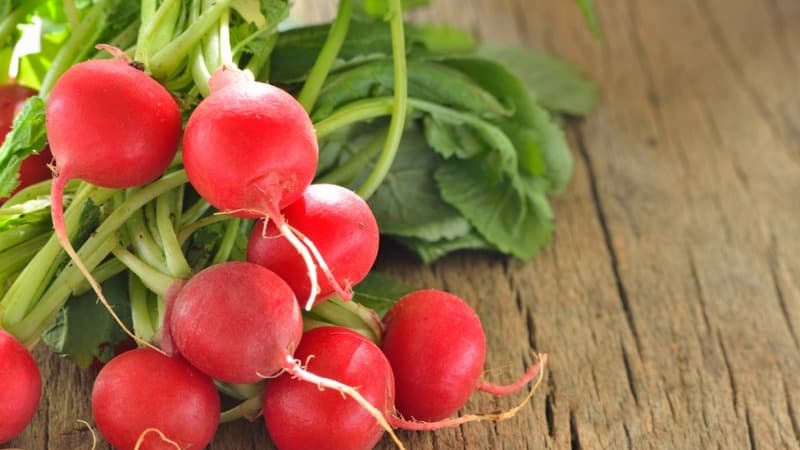 What is good about the Cherriet radish hybrid and why is it worth growing?