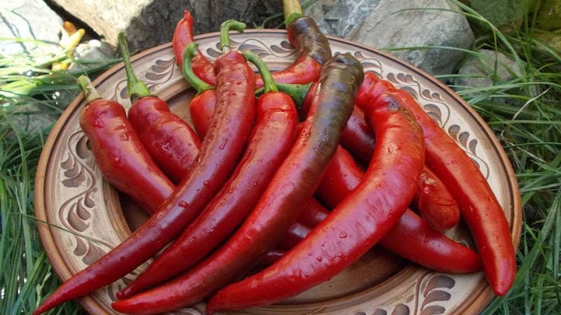 Isang seleksyon ng mga pinakamahusay na varieties ng mainit na sili at mga tip para sa pagpili ng mga ito