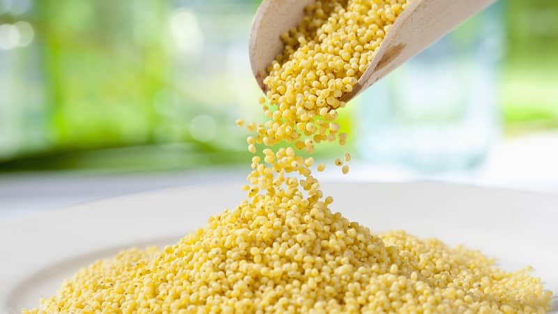 What grain is millet made from and why is it needed?