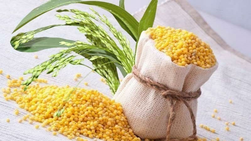 What grain is millet made from and why is it needed?