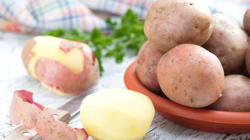 Mid-early table variety of Romano potatoes from Dutch breeders