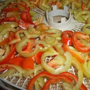 How to dry bell peppers in an electric dryer: step-by-step instructions for preparing the vegetable