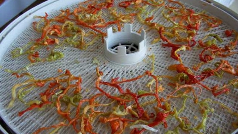 How to dry bell peppers in an electric dryer: step-by-step instructions for preparing the vegetable