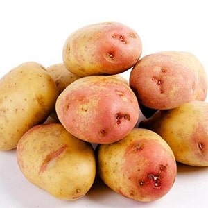 Unique in appearance and excellent in taste, the Picasso potato variety from Holland