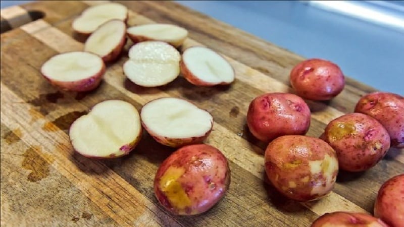 An unpretentious potato variety Crimean rose for growing in hot climates