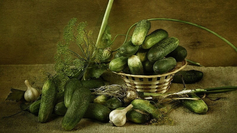 What is the calorie content of lightly salted cucumbers and can you eat them while losing weight?