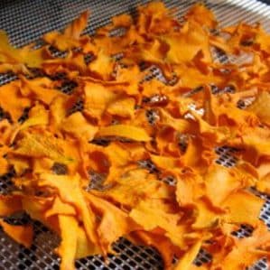 How to store cut pumpkin at home: the best methods and periods for storing fresh vegetables