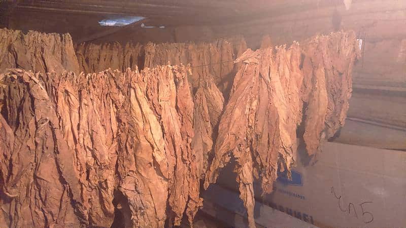 The most reliable ways to store tobacco at home