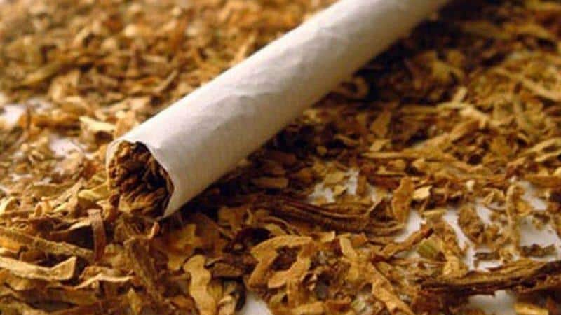 The most reliable ways to store tobacco at home