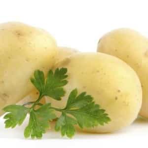 Drought-resistant and unpretentious potato variety Meteor: description and characteristics