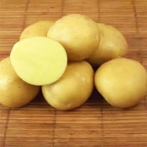 Drought-resistant and unpretentious potato variety Meteor: description and characteristics