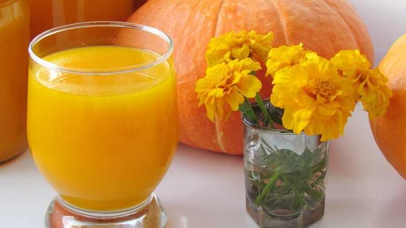 The benefits of pumpkin juice for women: get acquainted with the medicinal properties, prepare it yourself and drink it correctly