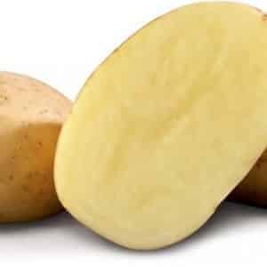 Varietà di patate Labadia resistente alla siccità e produttiva: descrizione e caratteristiche