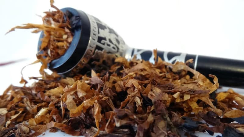 Cultivo de tabaco turco a partir de sementes: instruções para iniciantes, características da variedade